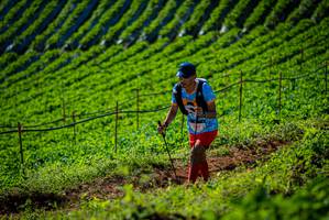 BIB: 
                            <button type="button" onclick="openModal(19161231)" class="btn btn-primary btn-sm float-right btn-popup" data-toggle="modal" data-target=".modal-high-quality">
                        <i class="fas fa-shopping-cart"></i> Add to Cart
                    </button>
                                            <button type="button" onclick="isThisMe(19161231, true)" class="btn btn-success btn-sm float-right btn-popup btn-isme hidden" data-toggle="tooltip" data-placement="bottom" title="นี่คือรูปของคุณใช่ไหม คลิกที่นี่เพื่อเอาเข้าอัลบั้ม">
                        <i class="fas fa-plus"></i> Add to album
                    </button>
                    <button type="button" onclick="isThisMe(19161231, false)" class="btn btn-warning btn-sm float-right btn-popup btn-isnotme hidden">
                        <i class="fas fa-ban"></i> Remove from album
                    </button>